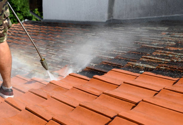 Best Residential Pressure Washing Services  in Sparta, MI